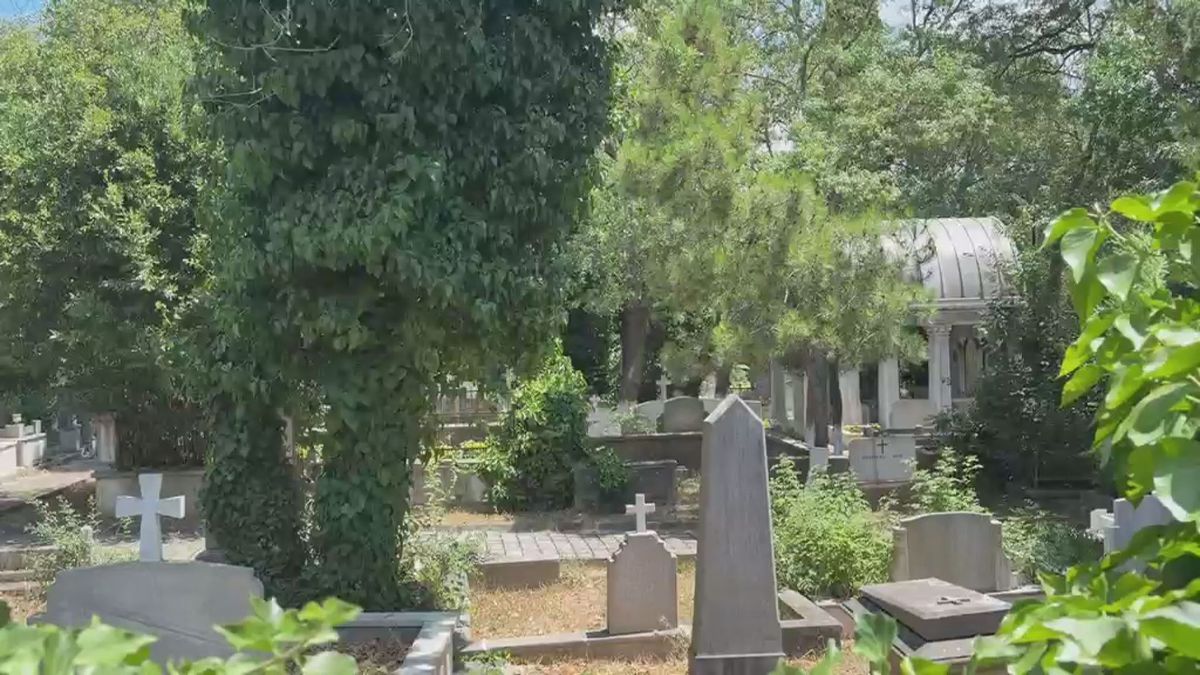 Mezarlık Tahribatı: Şüpheli Gözaltında