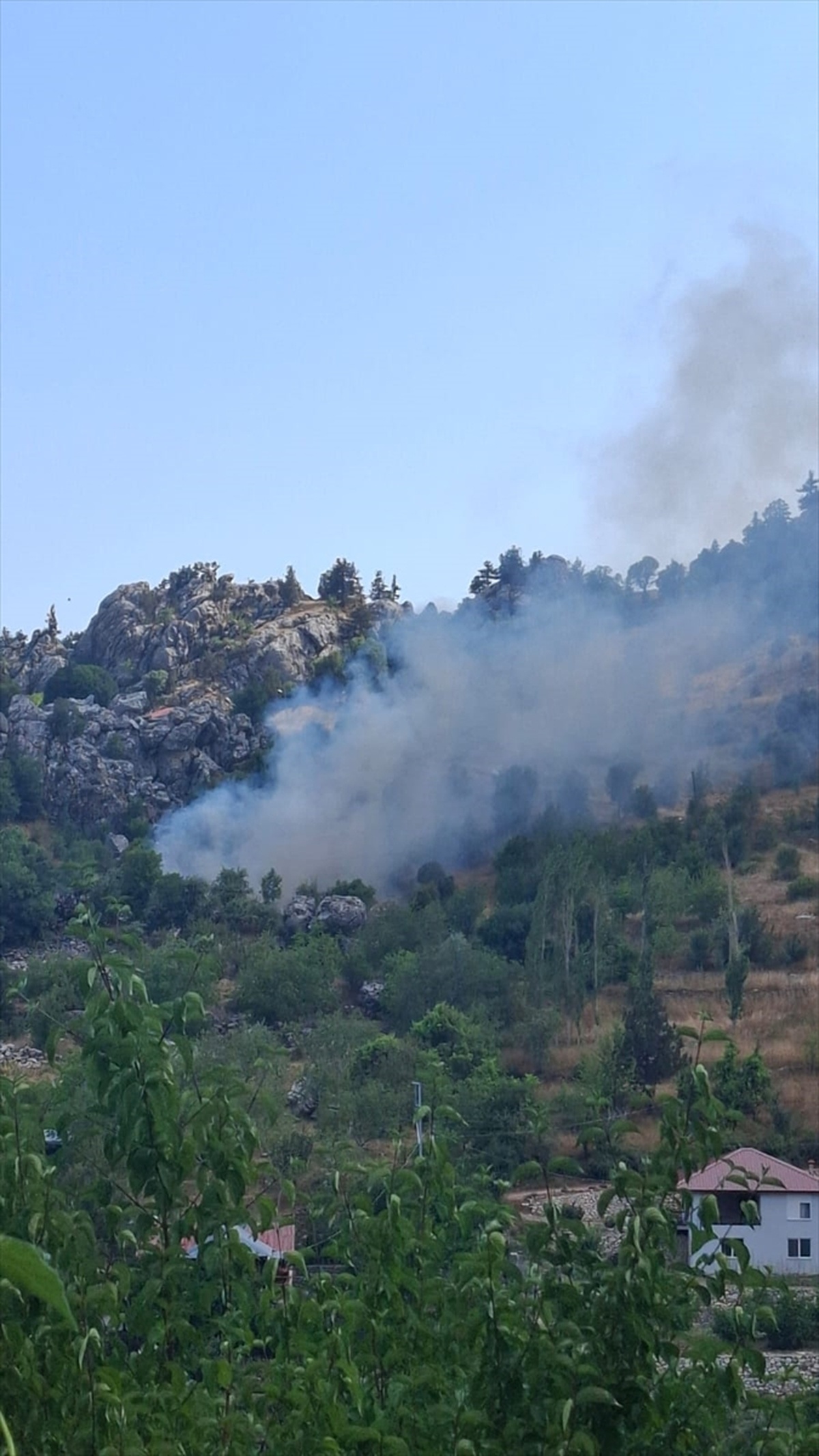 Alanya\'da Zirai Yangın Kontrol Altında