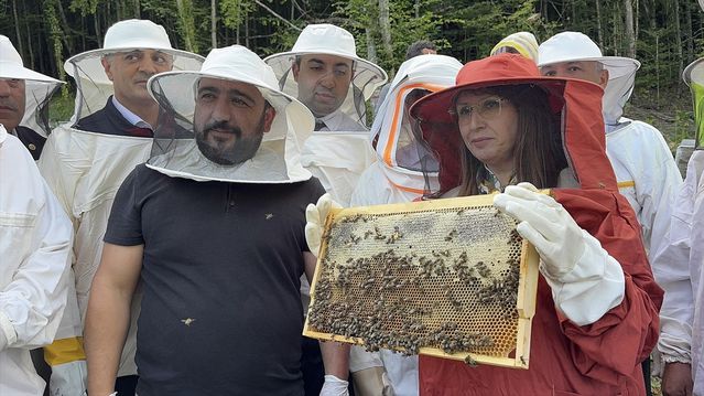 Bartın’da Kestane Balı Hasadı Yapıldı