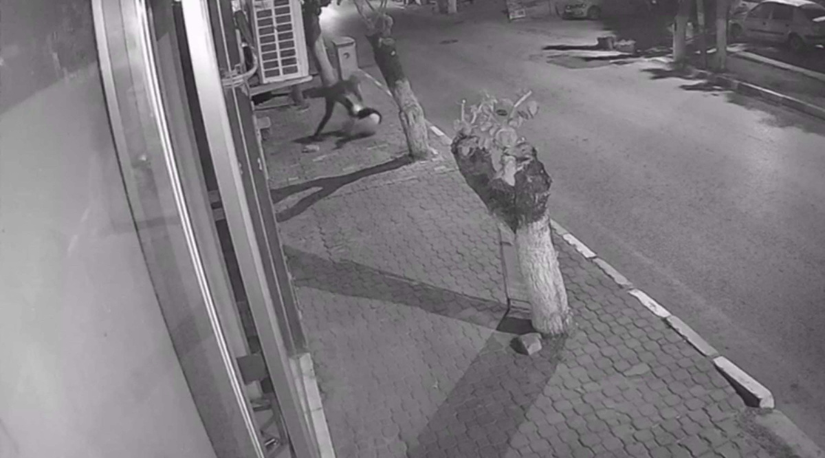 Bıçakla Yaralayan Sanık Yeniden Tutuklandı