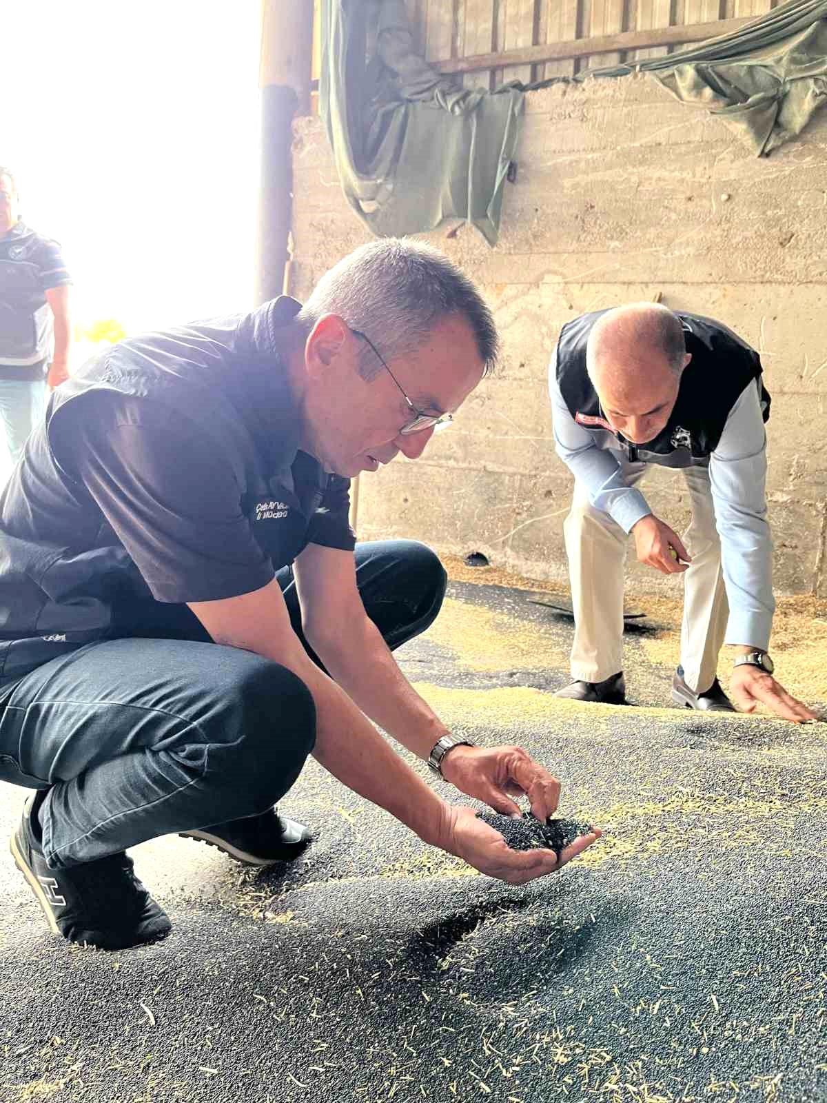 Bilecik\'te Hasat Sezonu Hız Kazandı