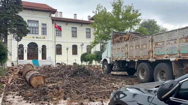 Bilecik’te Hastalıklı Ağaçlar Kesildi