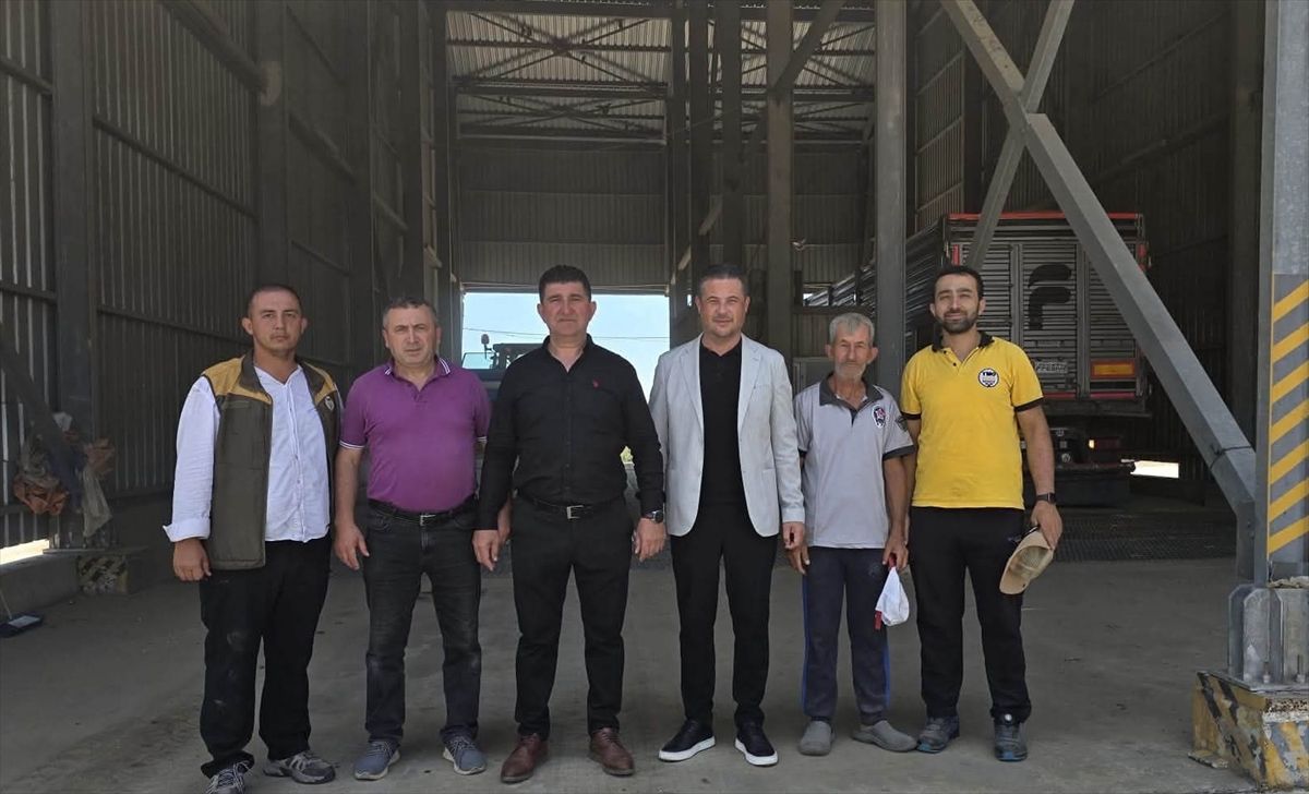 TMO Buğday Alım Sezonu Başladı, İpsala\'da Çiftçi Ziyareti