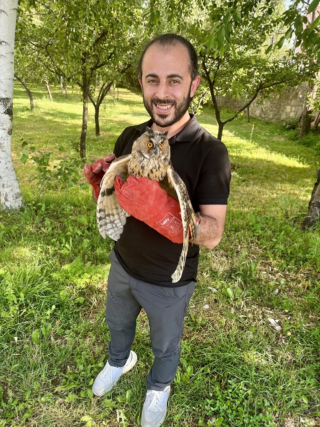 Yaralı Sanılan Baykuş Doğaya Bırakıldı