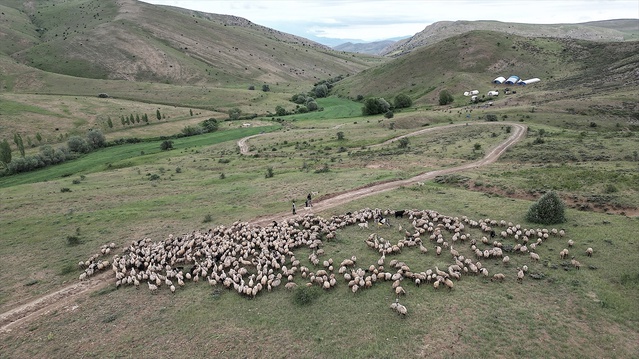 Bayburt’ta Göçerlerin Tulum Peynirine Yolculuğu