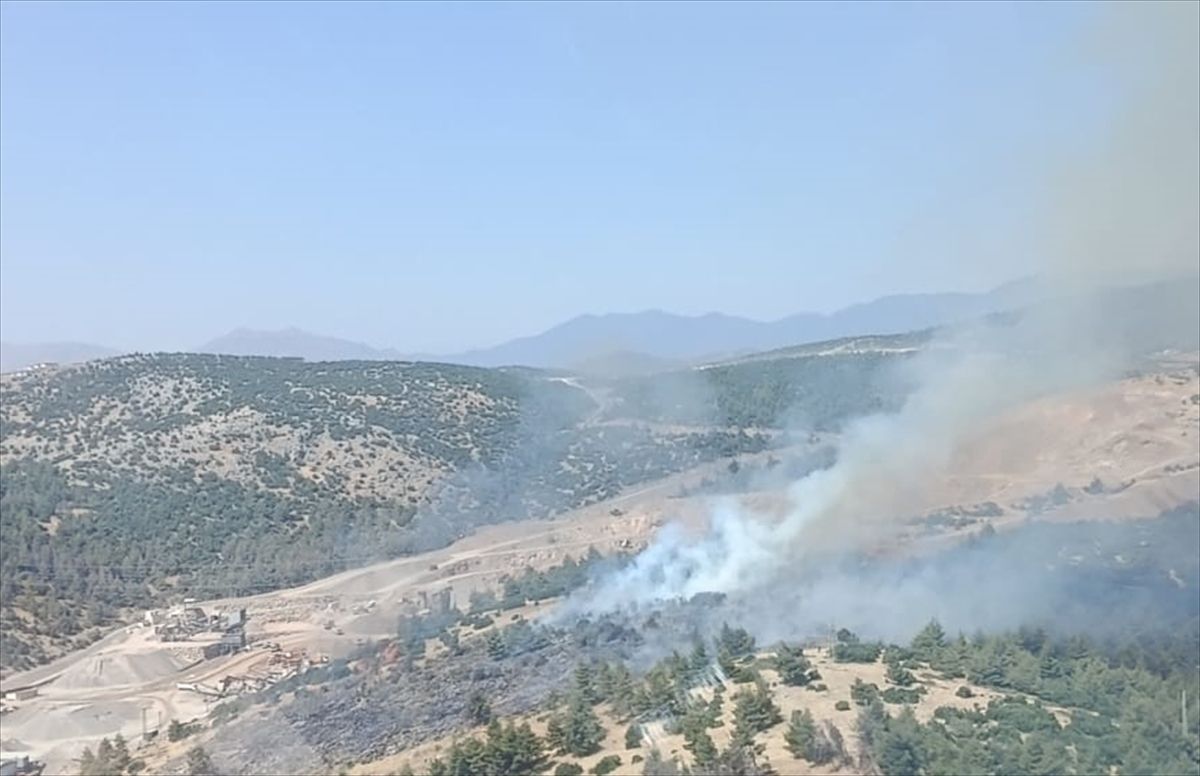 Kahramanmaraş\'ta Orman Yangını Kontrol Altında