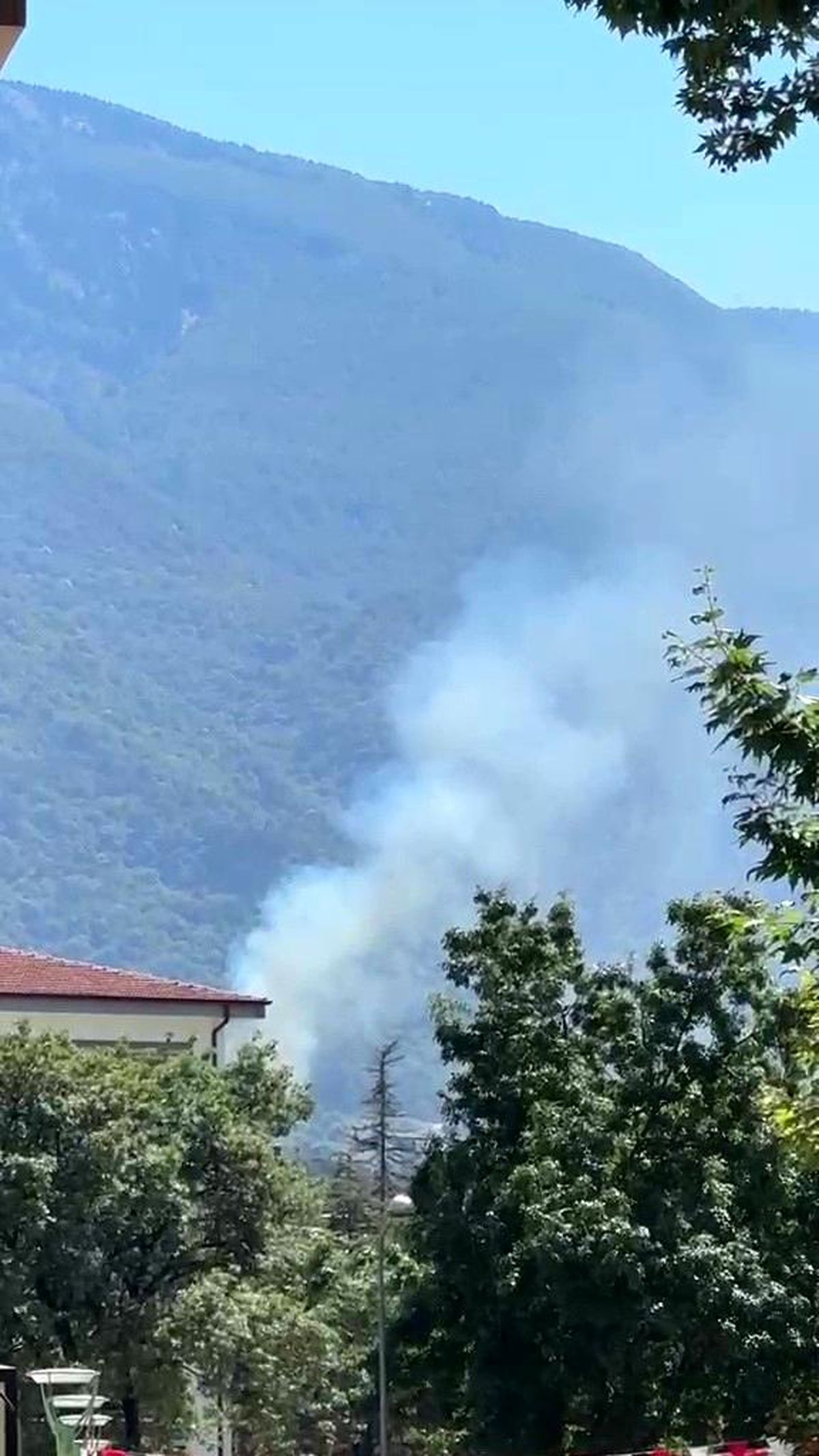 Kestel\'de orman yangını