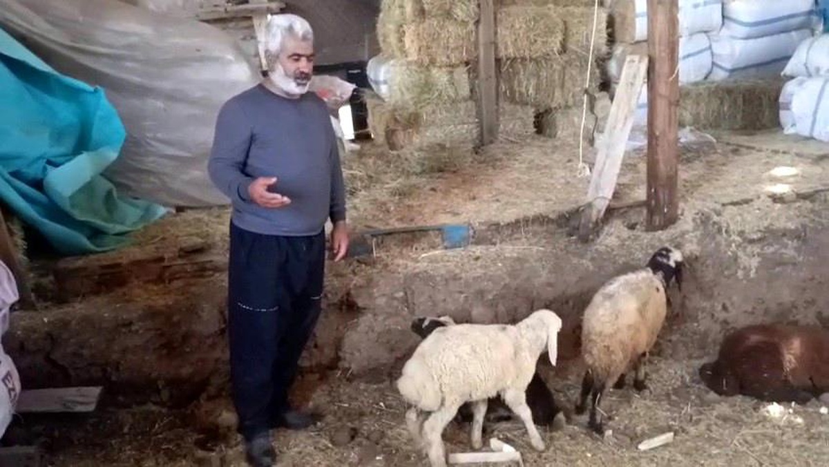 Yunusemre Mahallesi\'nde Kurt Saldırısı