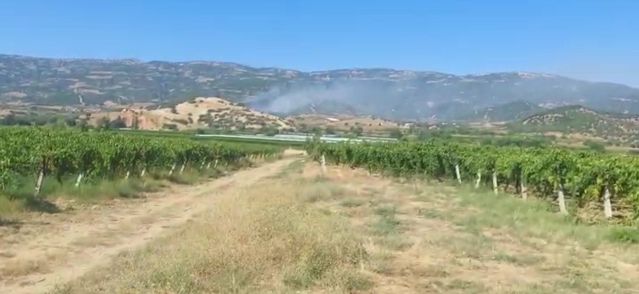 Manisa’da Maki Yangını