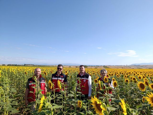 Rekolte İncelemesi İçin Tekirdağ Ziyareti