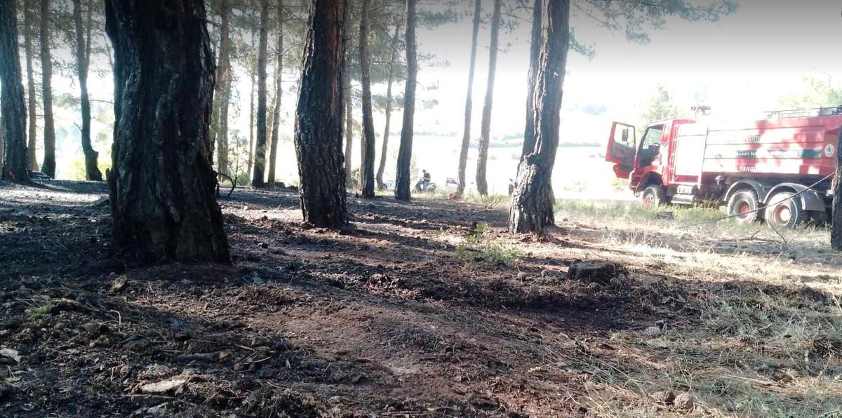 Tavşanlı\'da Orman Yangını Kontrol Altında