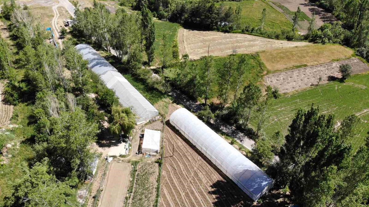 Bayburt\'ta Hibeli Sera Projesi Başvuruları Başlıyor