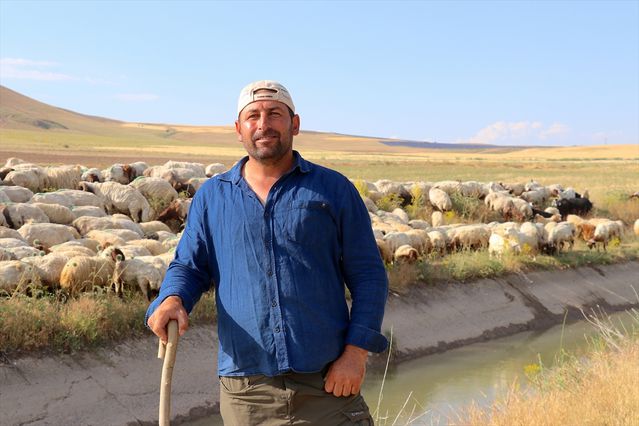 Tuşba’da Kadın Çiftçinin Koyun Başarısı