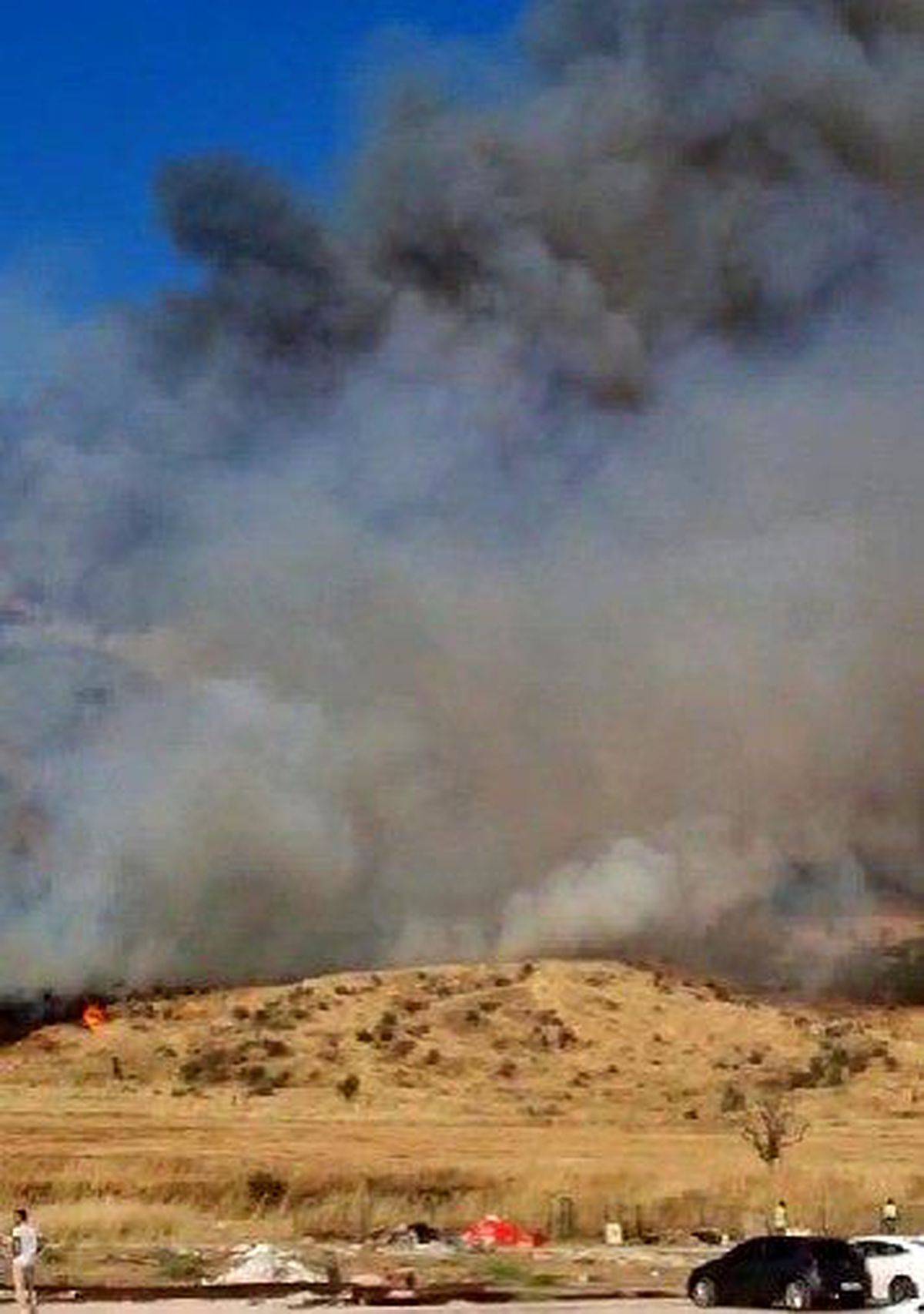 Hierapolis Antik Kent yakınında örtü yangını
