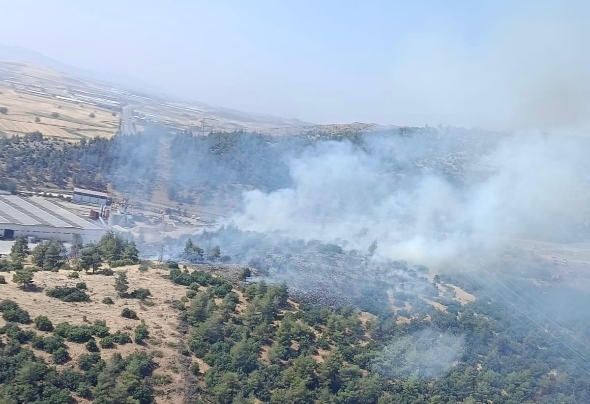 Kahramanmaraş\'ta orman yangını kontrol altına alındı