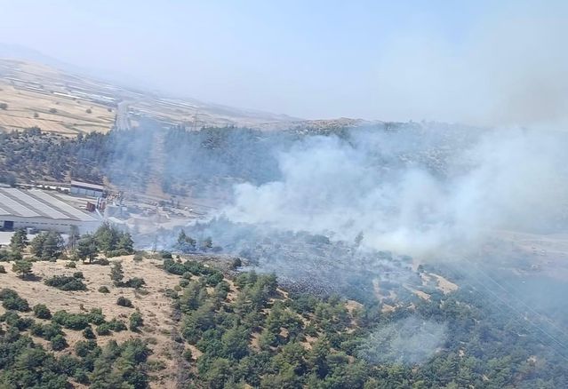 Kahramanmaraş’ta orman yangını kontrol altına alındı