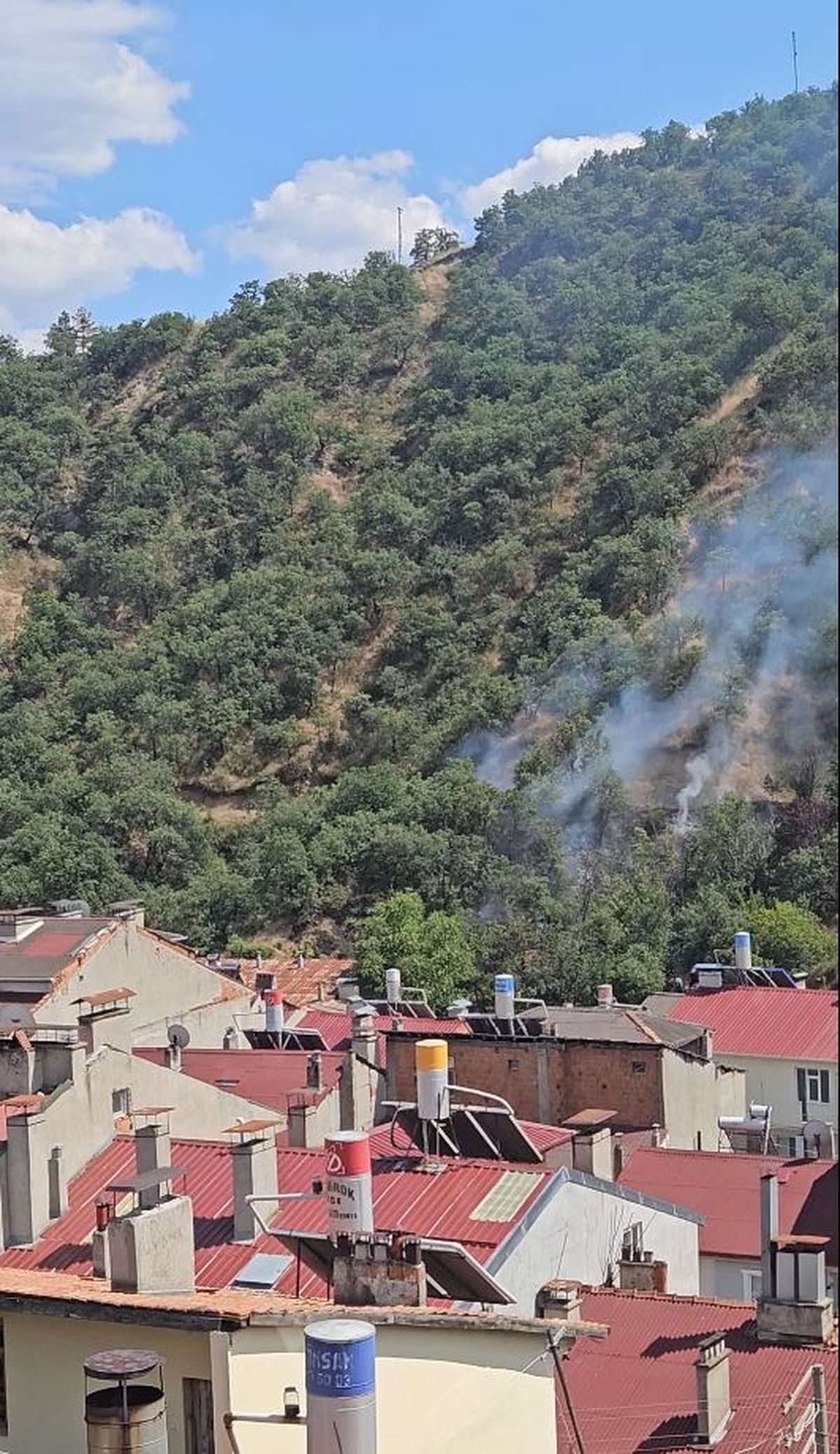 Tosya\'da Orman Yangını Çıktı
