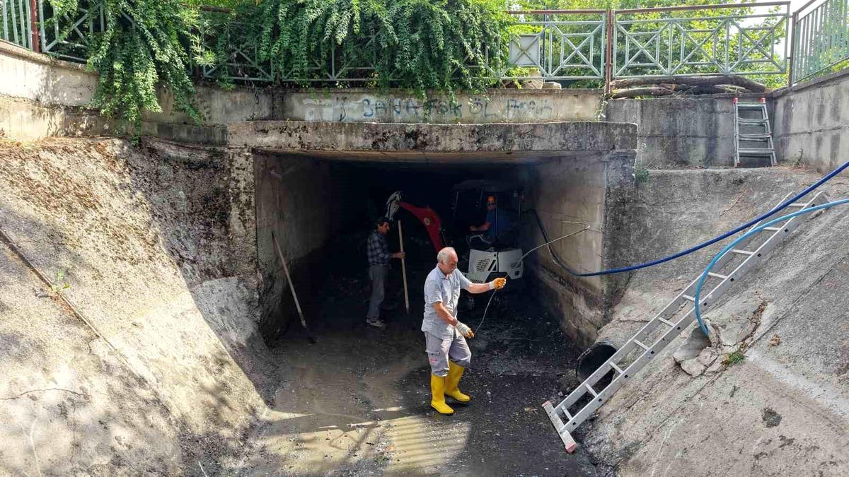 Manisa\'nın derelerinde koku ve kirliliğe karşı kapsamlı temizlik