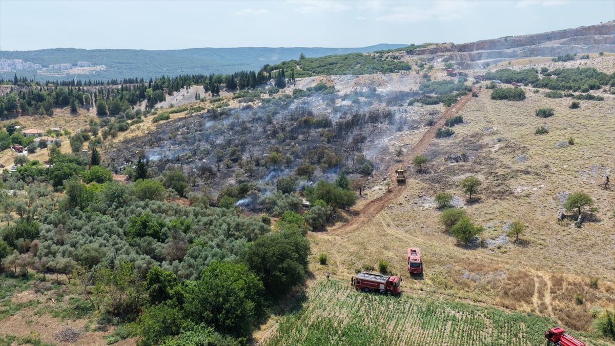 Muğla\'da Orman Yangını