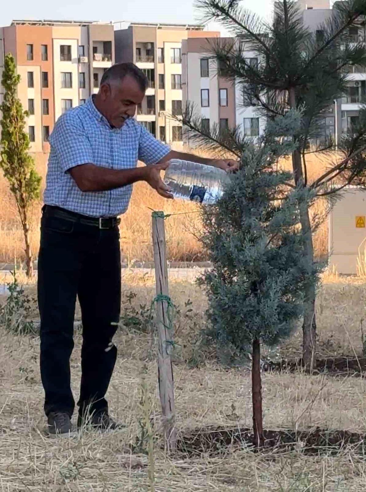 Oğlaklı Mahallesi Altyapı Sorunlarıyla Baş Başa