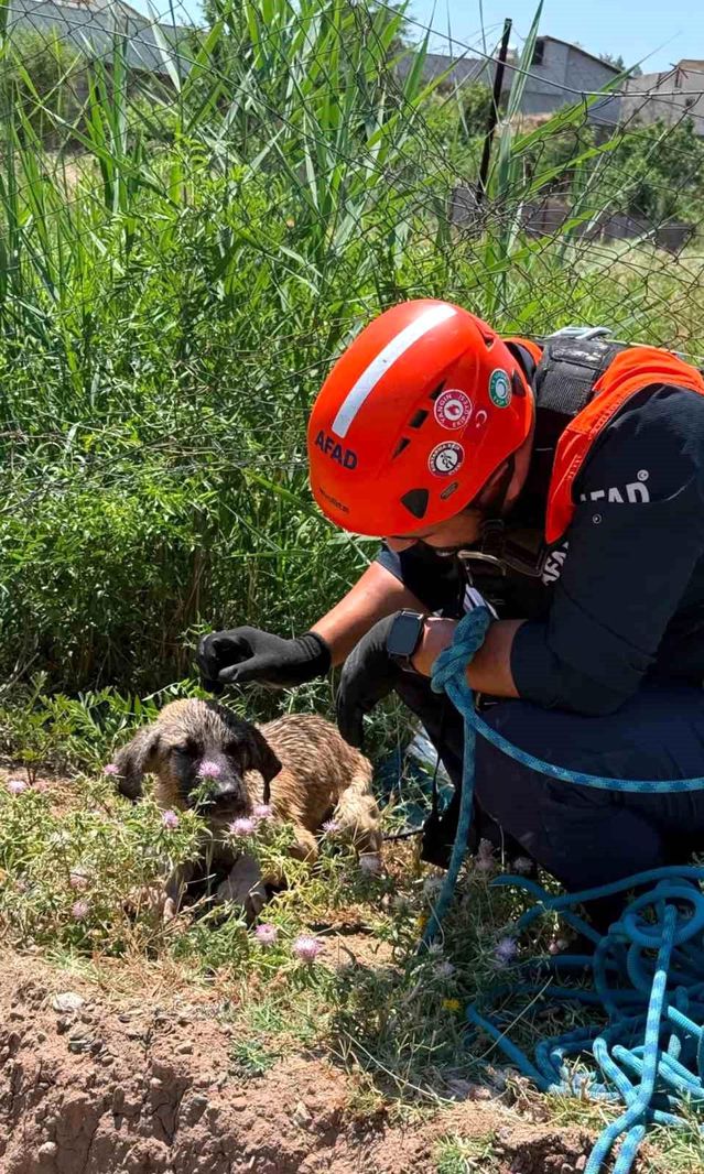 AFAD, Su Kuyusundaki Köpeği Kurtardı