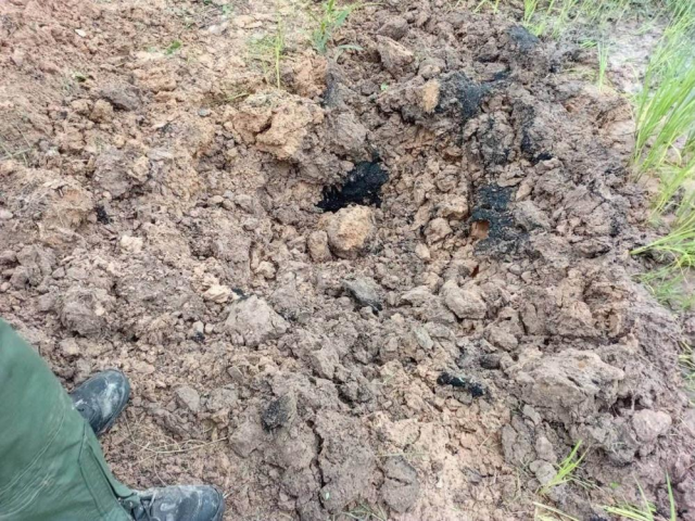 Tayland'da evcil köpek, eve el bombası getirdi