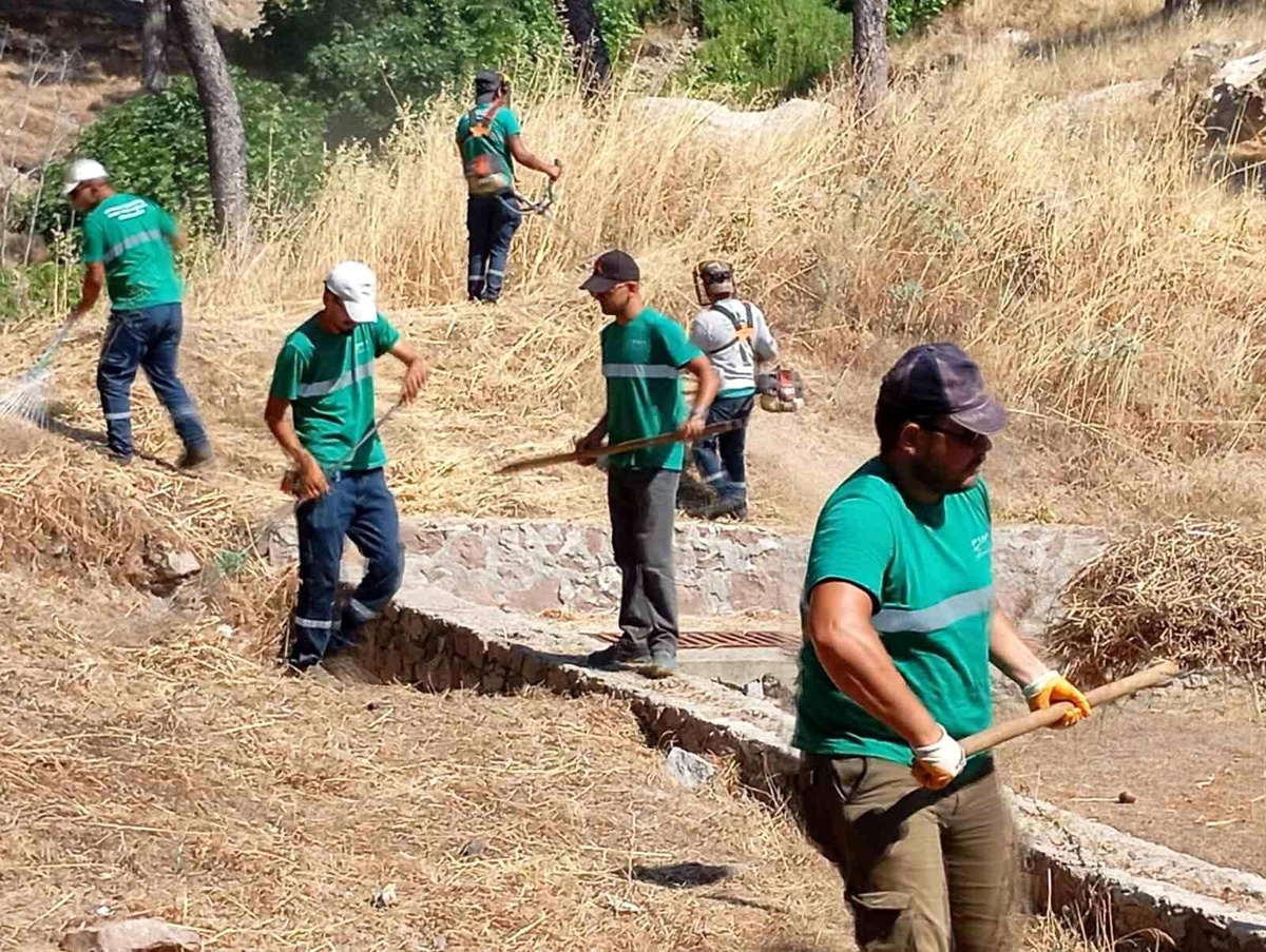 Yangınlara karşı Ayvalık\'ta kuru ot temizliği aralıksız sürüyor