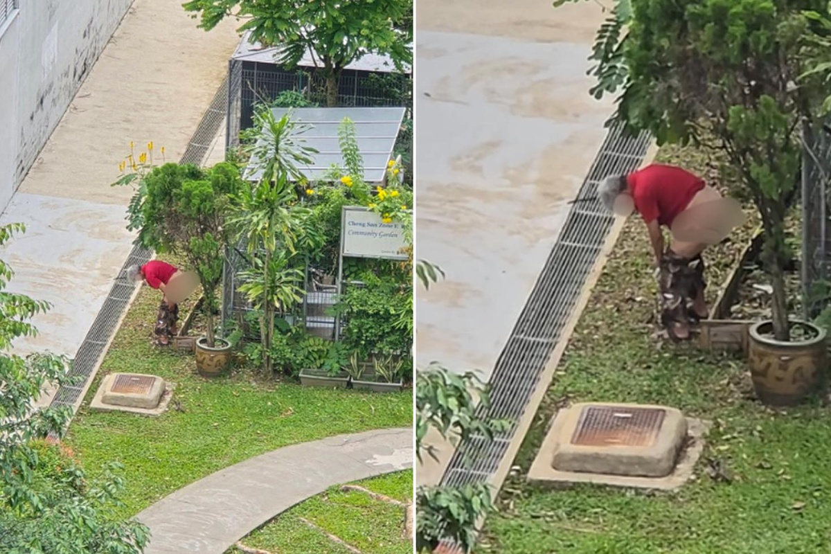Yaşlı adam saksıya tuvaletini yaptı, görüntü büyük tartışma yarattı