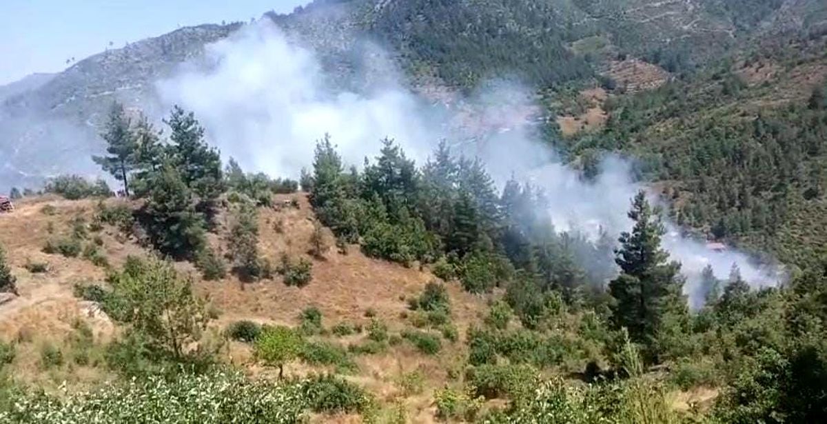 Adana\'da Orman Yangınına Müdahale Sürüyor