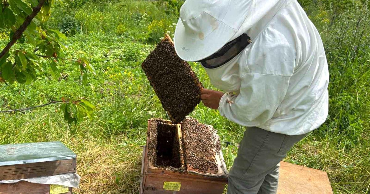 Ardanuç\'ta Bal Ormanı Toplantısı