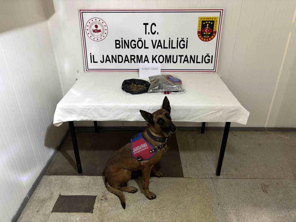 Bingöl\'de 4 Zanlı Tutuklandı