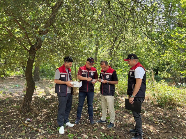 Edirne’de Kahverengi Kokarca Mücadelesi