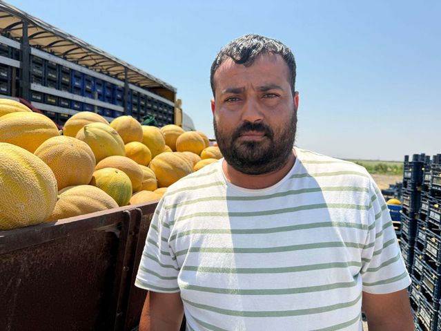 Kırıkhan Kavunu Hasadı Başladı
