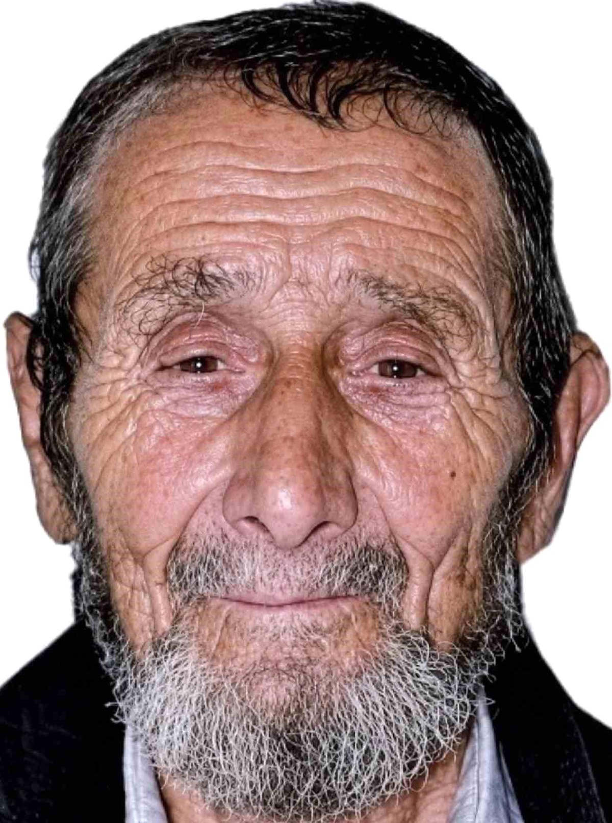 Ağaç Keserken Hayatını Kaybetti