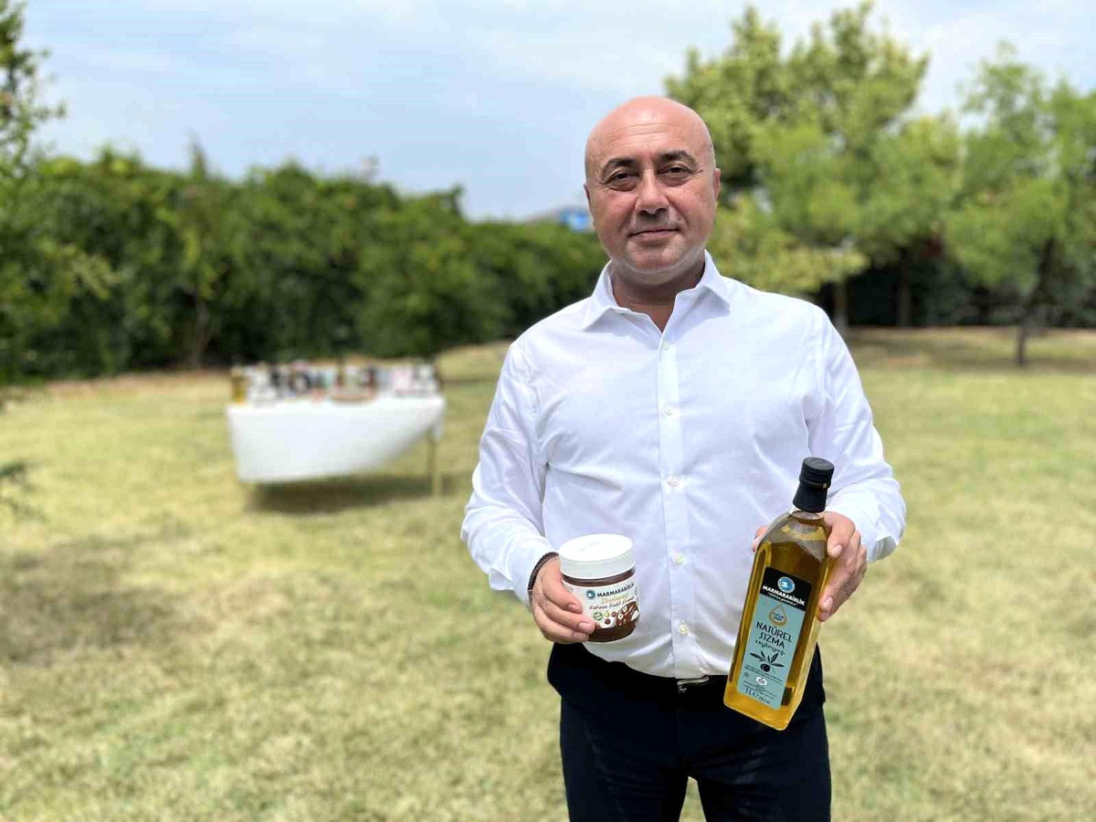 Zeytin Sektöründe Bereket Beklentisi