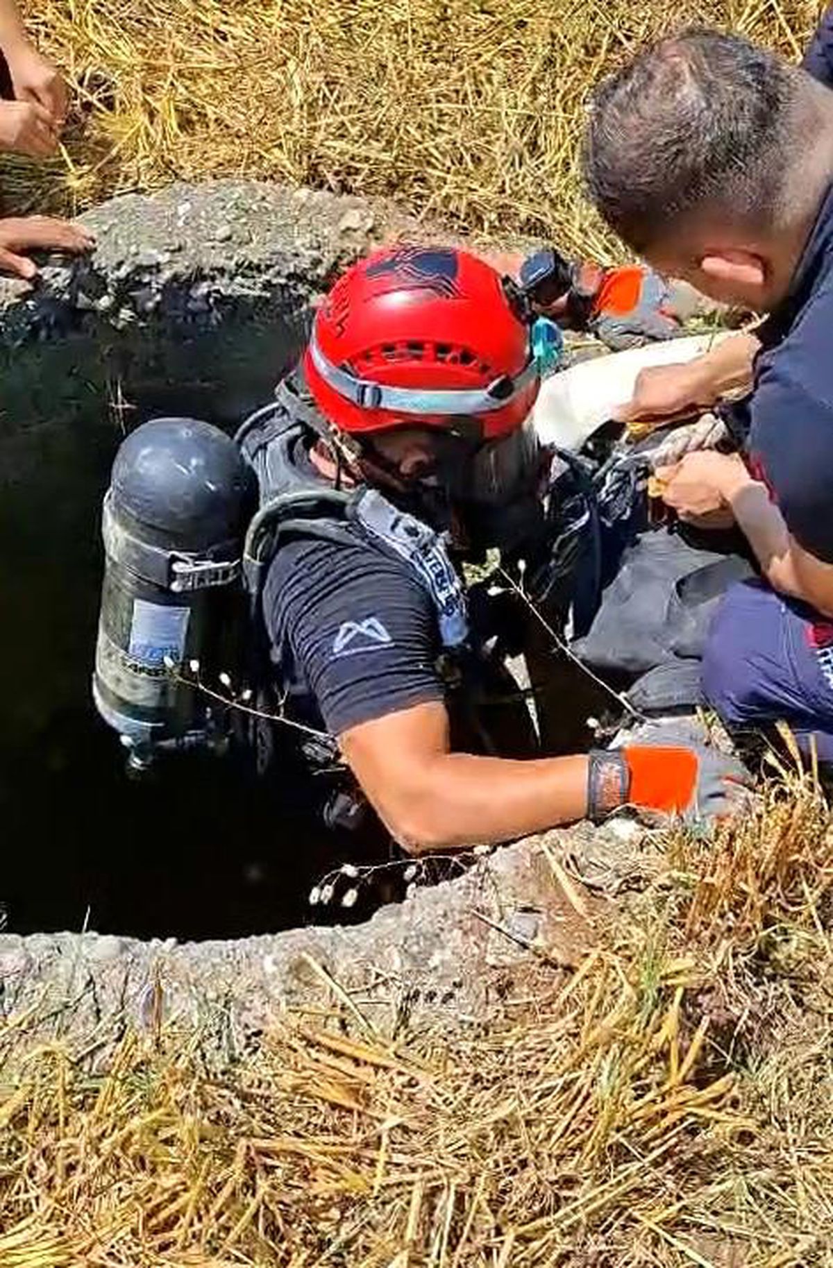 Mersin\'de 18 metrelik kuyuya düşen keçi kurtarıldı