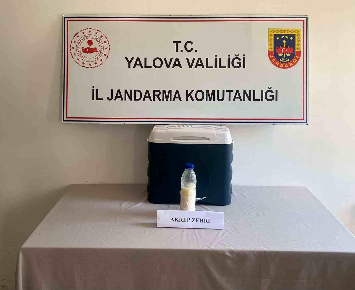 Yalova\'da 5 Milyon Dolar Değerinde Akrep Zehri Ele Geçirildi