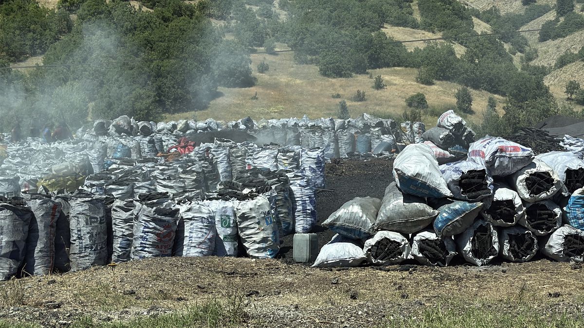 Duman Nedeniyle 9 Buzağı Öldü