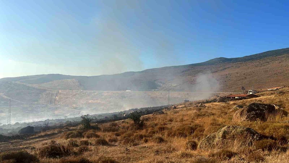 Aliağa\'da otluk alanda yangın