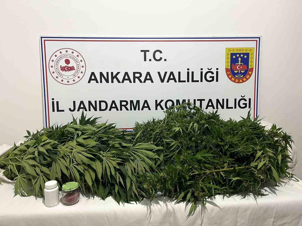 Ankara\'da Kenevir Operasyonu: Bir Gözaltı