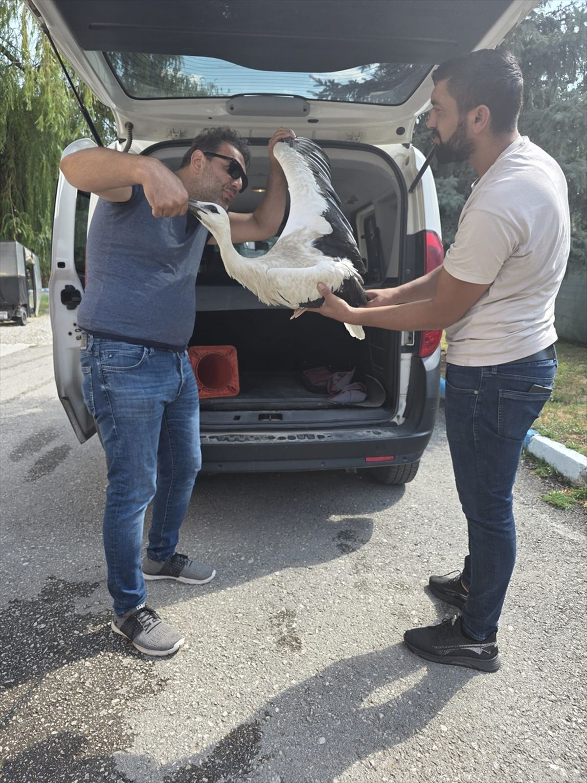 Yavru Leylek Tedavi Altına Alındı