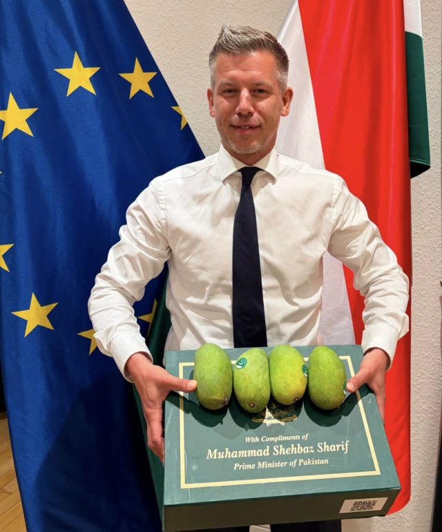 Cumhurbaşkanı Erdoğan’ın hediyesi hala gündemde: Macaristan Başbakanı Magyar’dan 'mango ve tabanca karşılaştırması