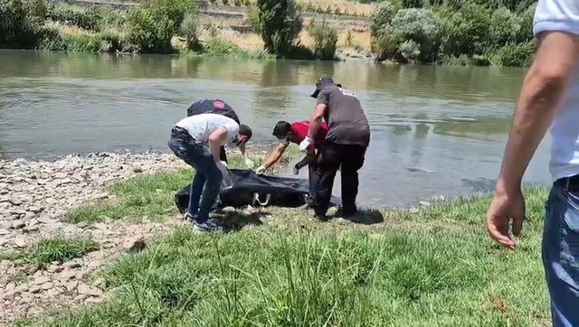 Vergi ve cezalardan dert yanan İdris Usta'dan acı haber