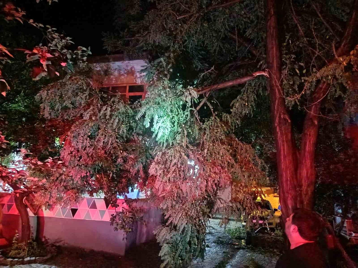 Erdek\'te fırtına ve dolu yağışı: Ağaçlar devrildi, çatılar uçtu