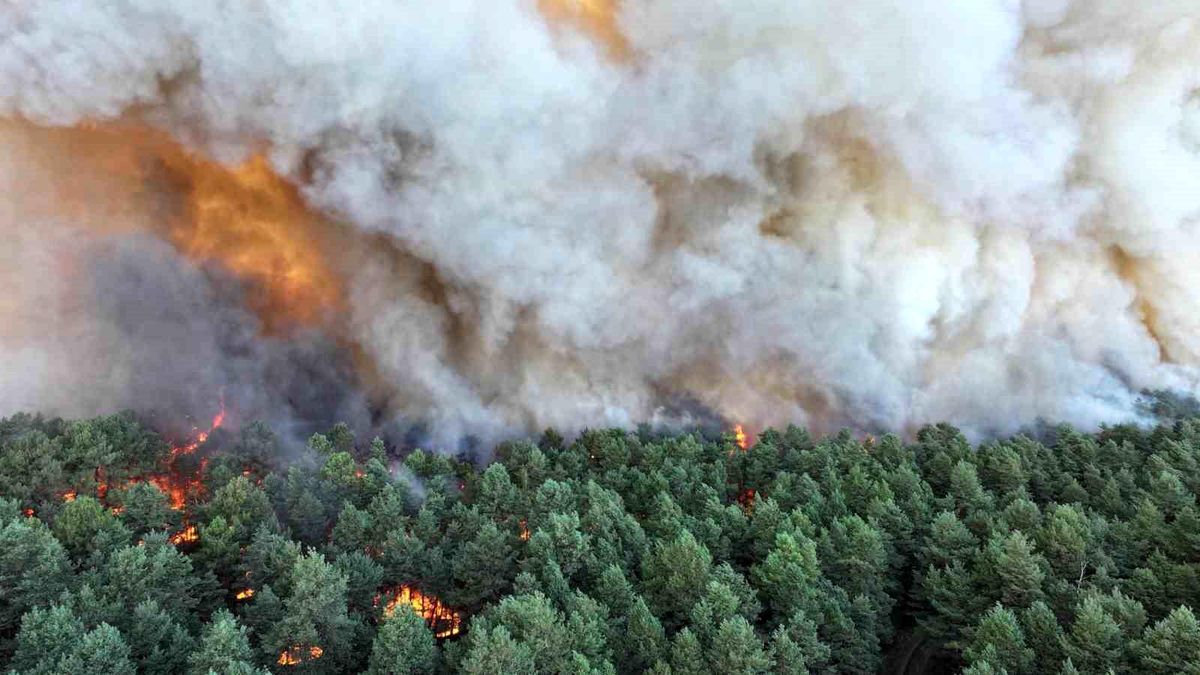 Fontainebleau Ormanı\'nda Yangın: 3 Bin Dönüm Yandı