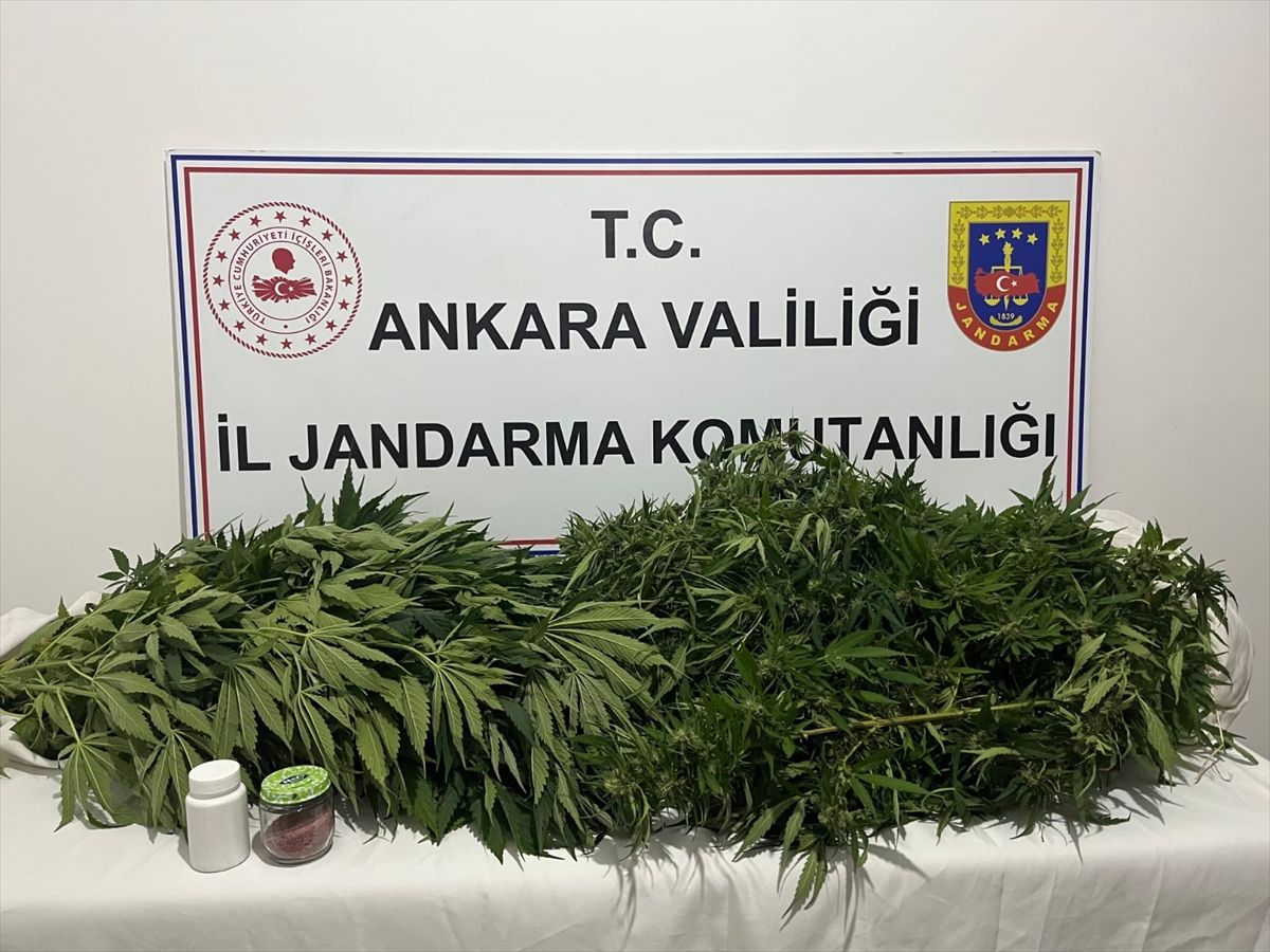 Haymana\'da Uyuşturucu Operasyonu: 1 Gözaltı