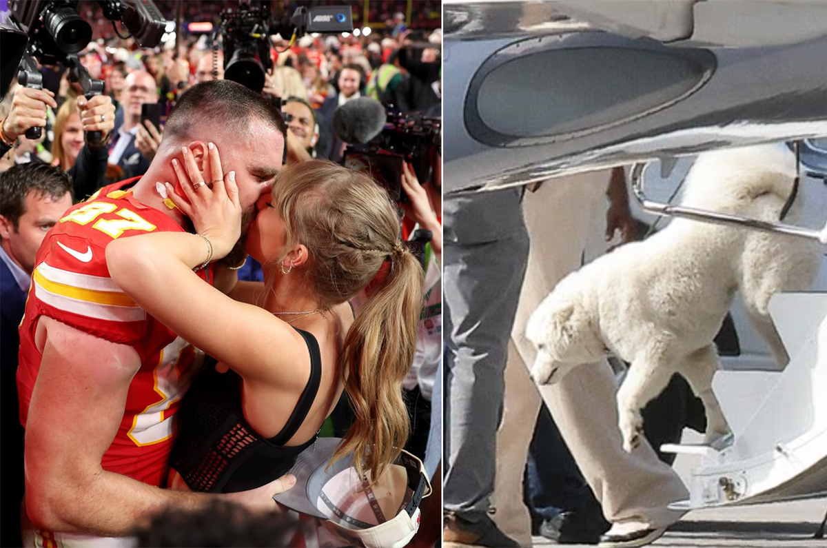 İşte Taylor Swift ve Travis Kelce\'nin sır gibi sakladığı köpeği!