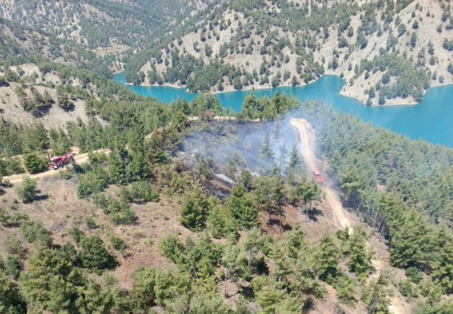 Kahramanmaraş'taki orman yangını kontrol altına alındı