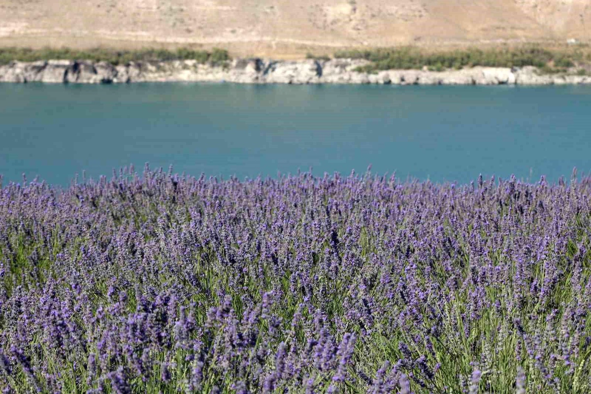Karapınar\'da Turist Akını