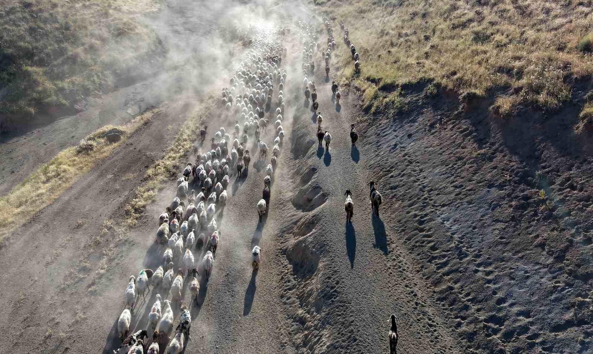 Bitlis\'te Besicilerin Zorlu Tozlu Yolculuğu